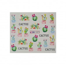 Слайдер "Кактус квітучий"