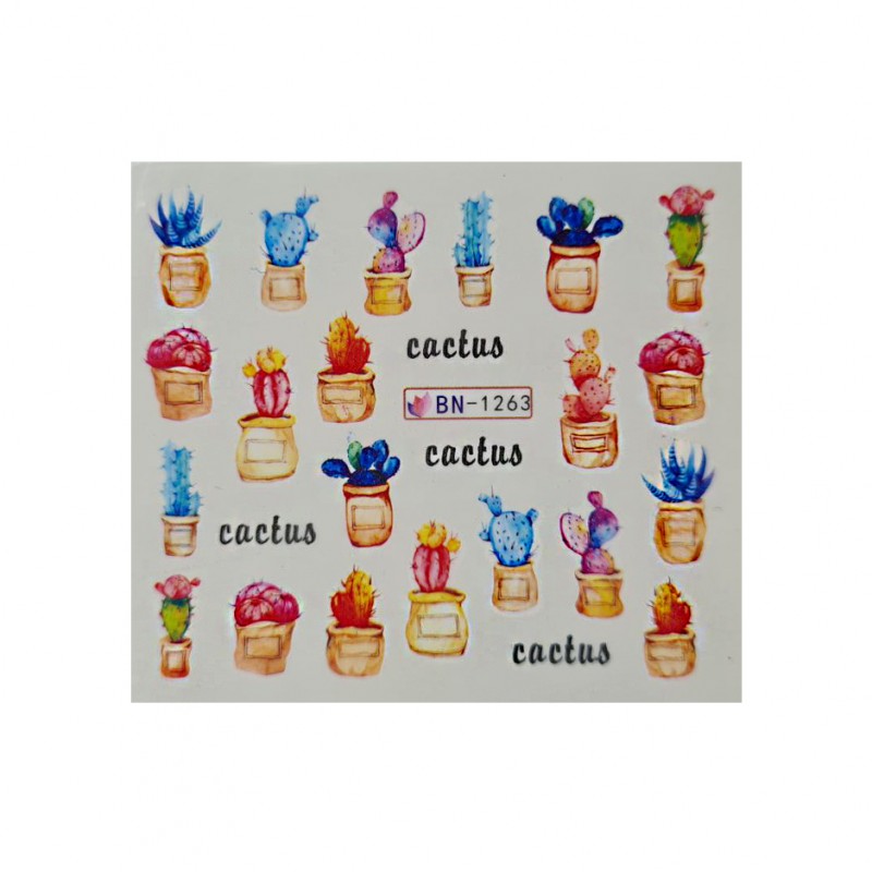 Слайдер "Кактус в грошику2"