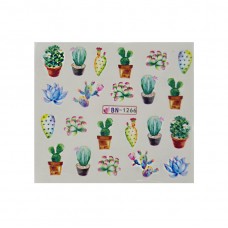 Слайдер "Кактус сокулент"