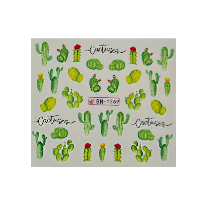 Слайдер "Кактус зелений"