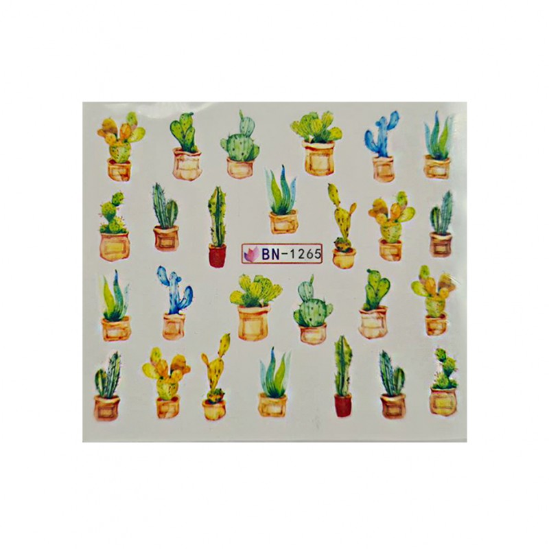 Слайдер "Кактус яскравий"