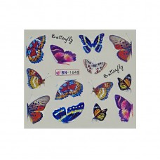 Слайдер "Метелики великі"